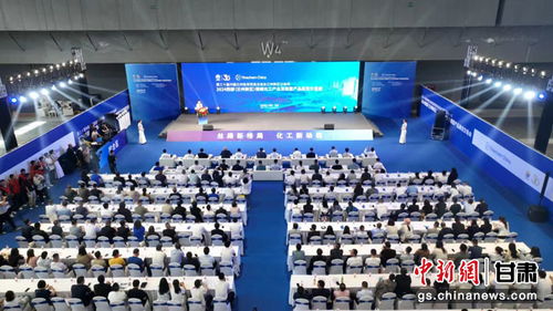 中新网 甘肃新闻