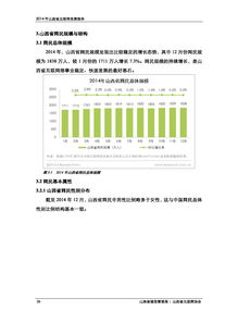 2014年山西省互联网发展报告
