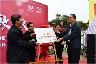 农民走红毯 百人团圆宴 这个最暖心的丰收节活动了解下