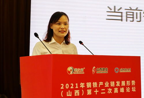 钢之家网站2021年钢铁产业链发展形势 山西 第十二次高峰论坛精彩回顾
